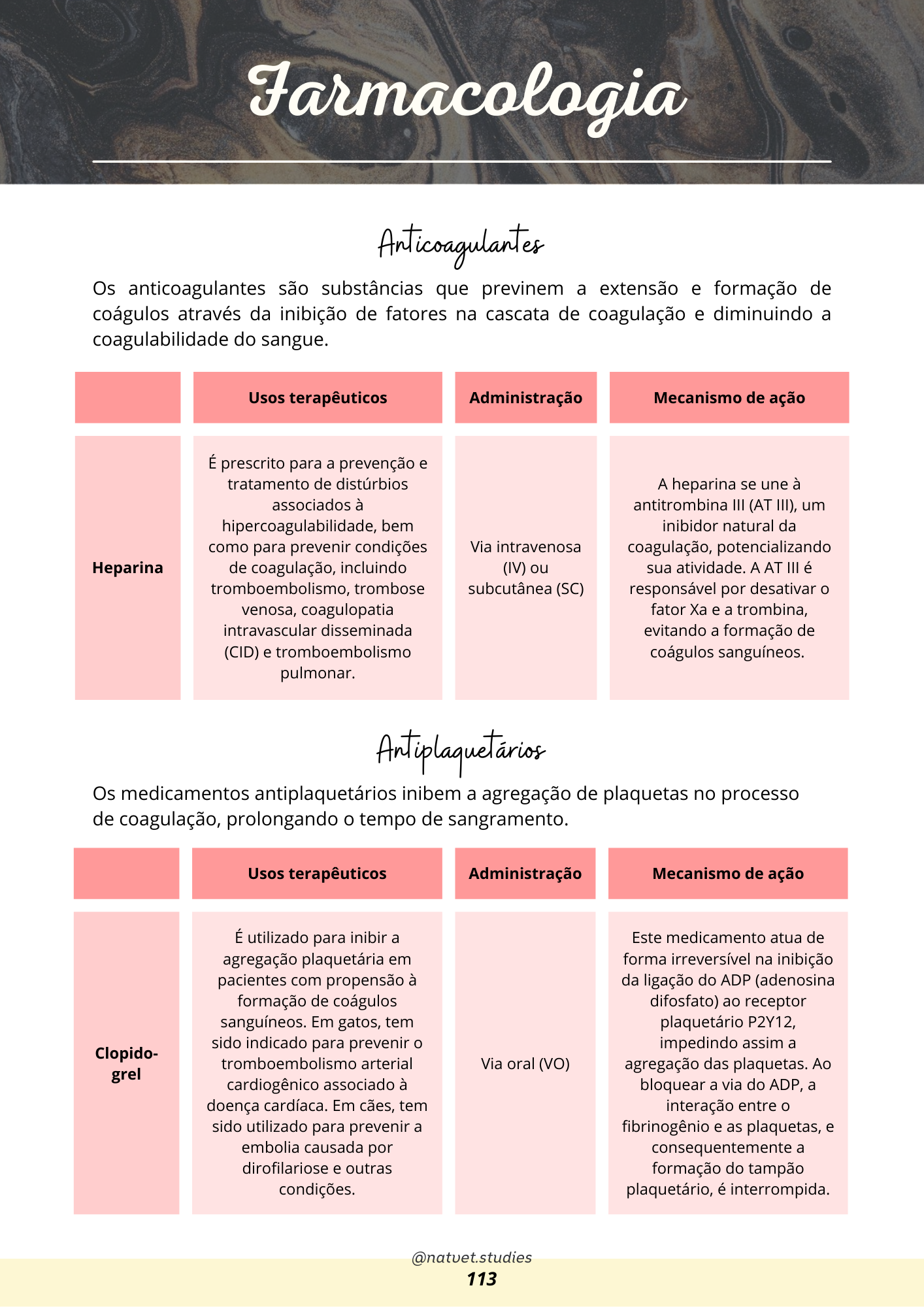 Prévia do material — 113.png