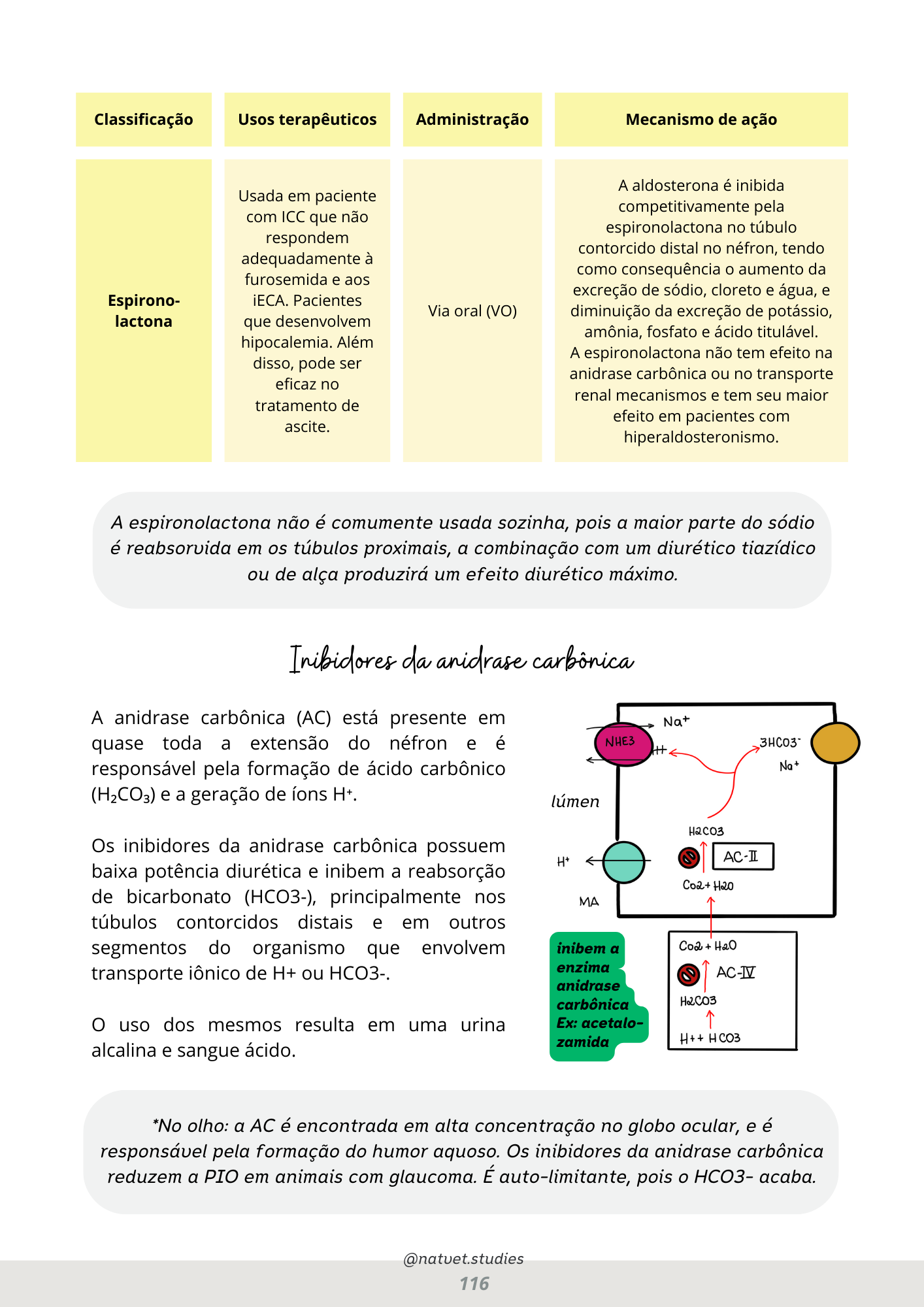 Prévia do material — 116.png