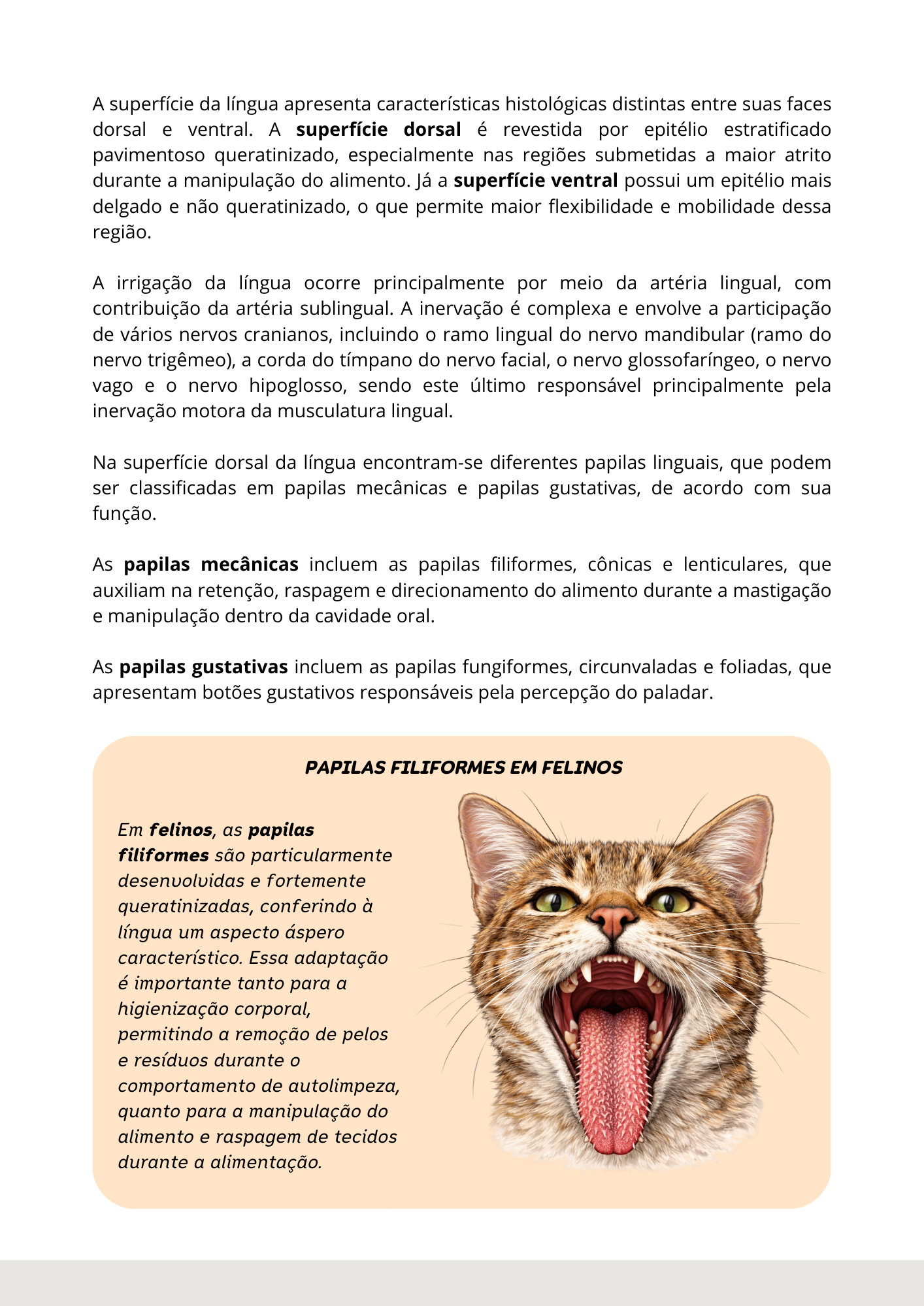 Prévia do material — 15.png