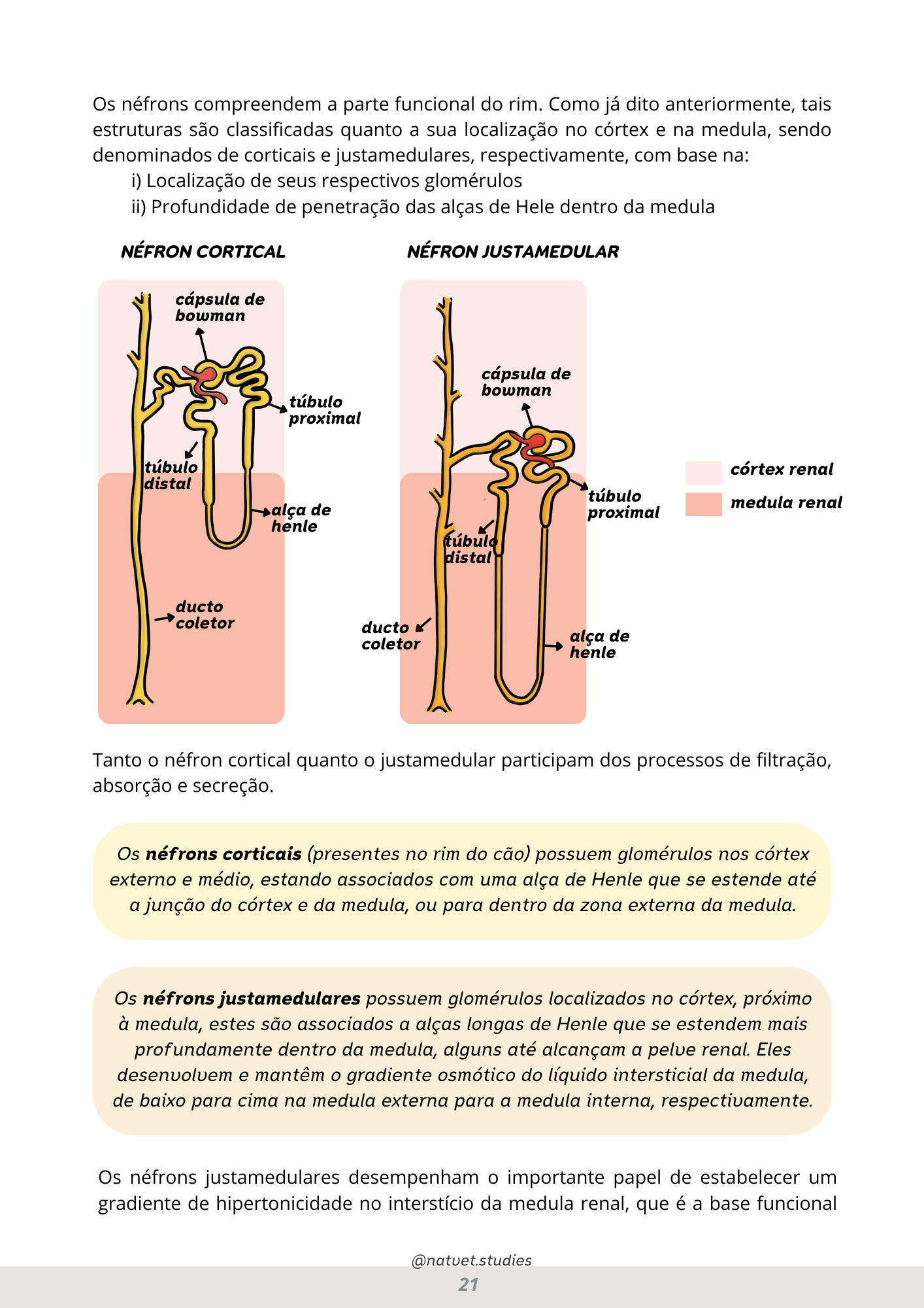 Prévia do material — 21.png