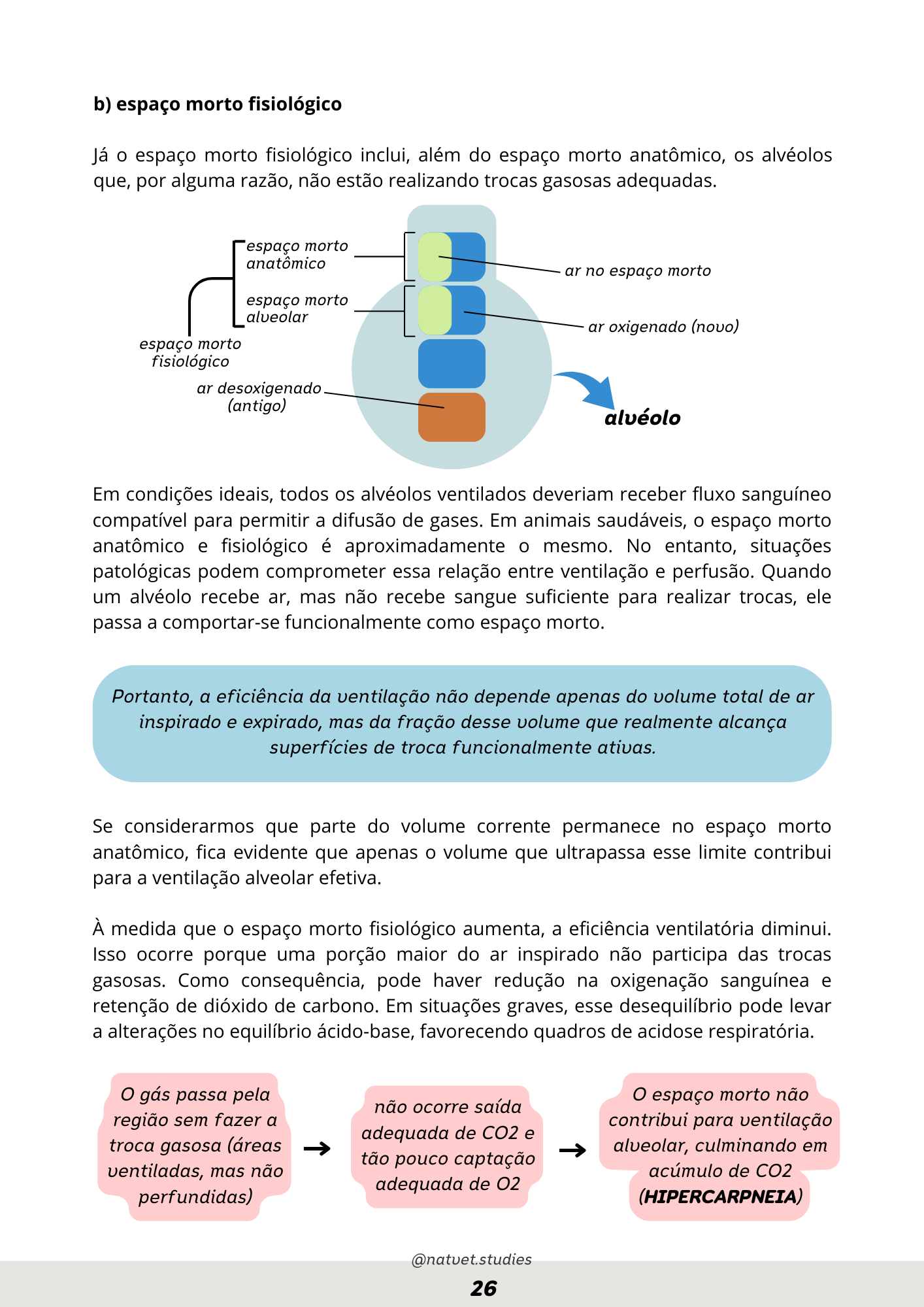 Prévia do material — 26.png