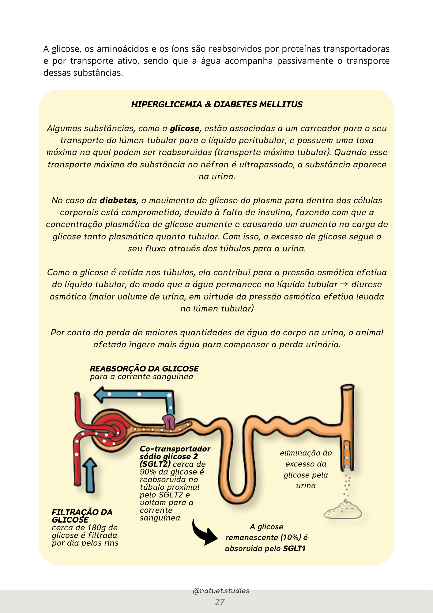 Prévia do material — 27.png