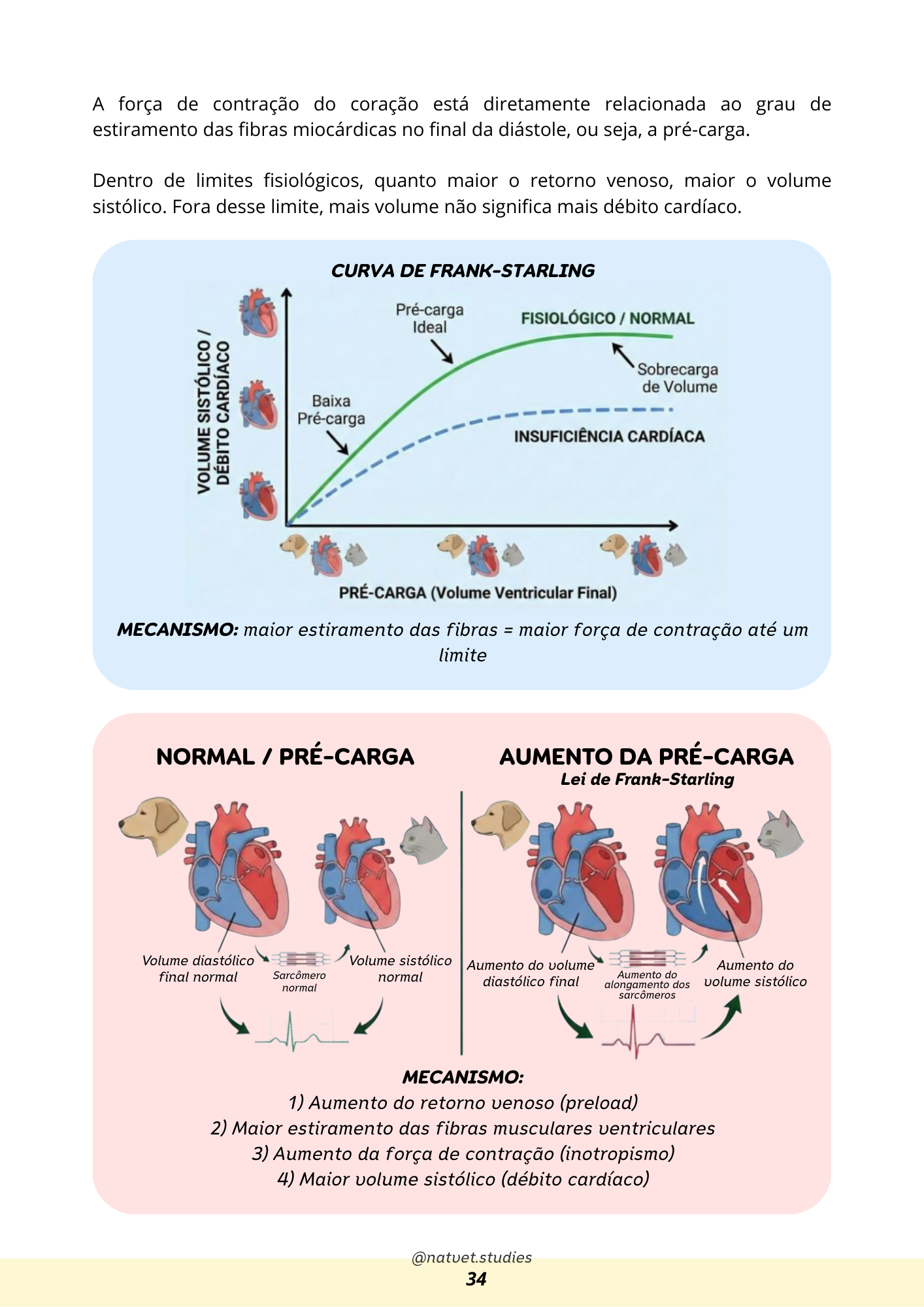 Prévia do material — 34.png