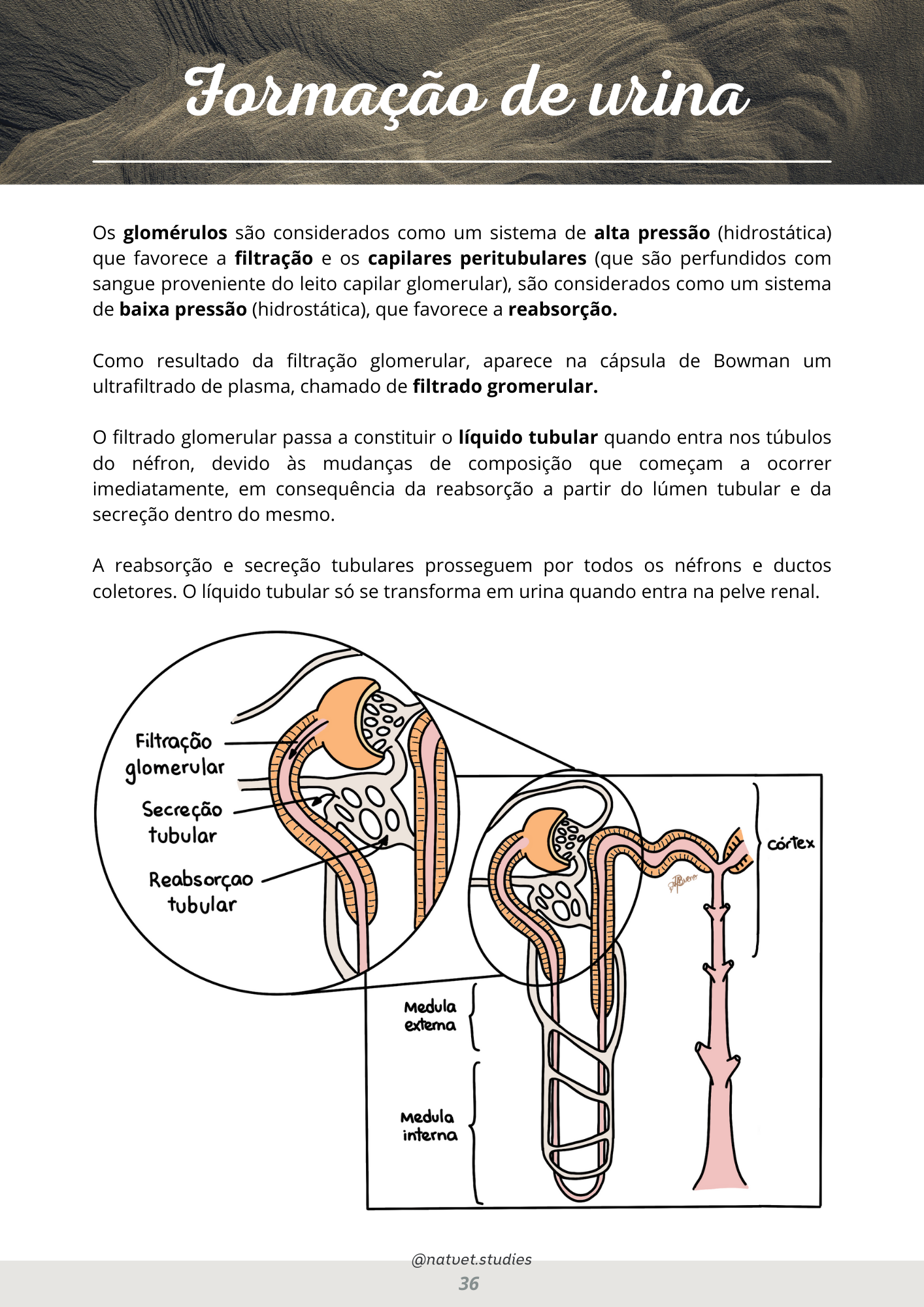 Prévia do material — 36.png