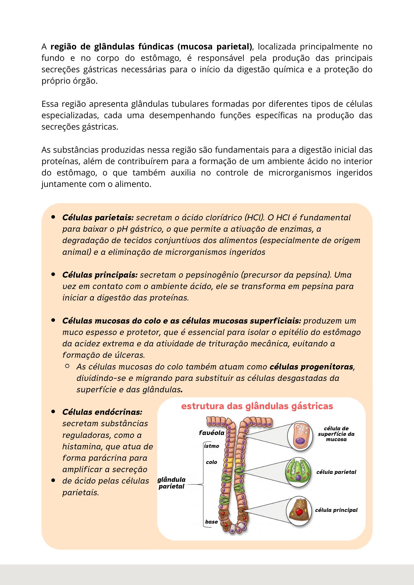 Prévia do material — 38.png