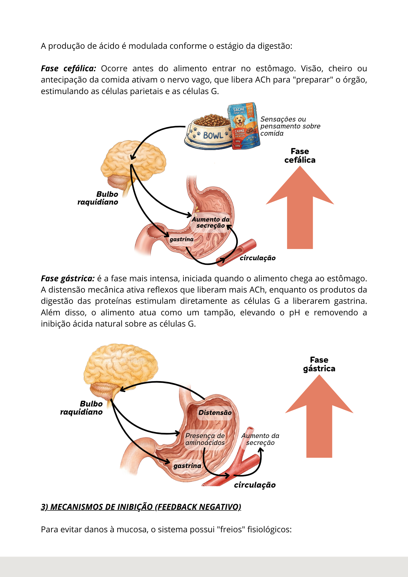 Prévia do material — 43.png