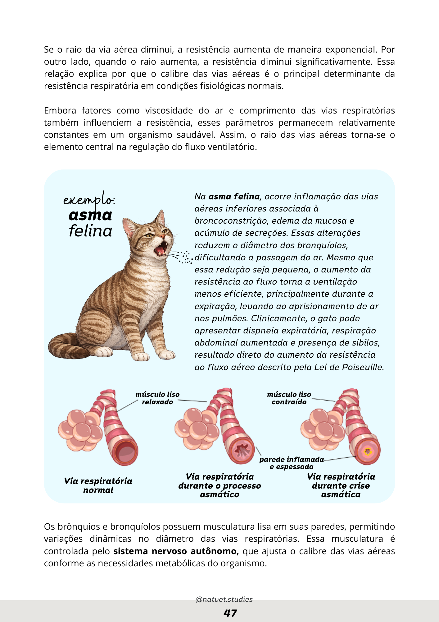 Prévia do material — 47.png