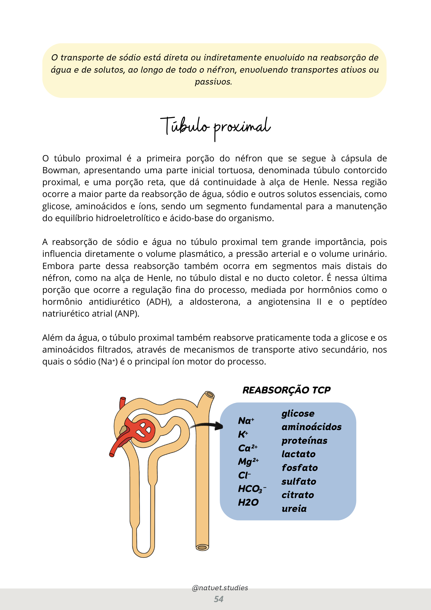 Prévia do material — 54.png