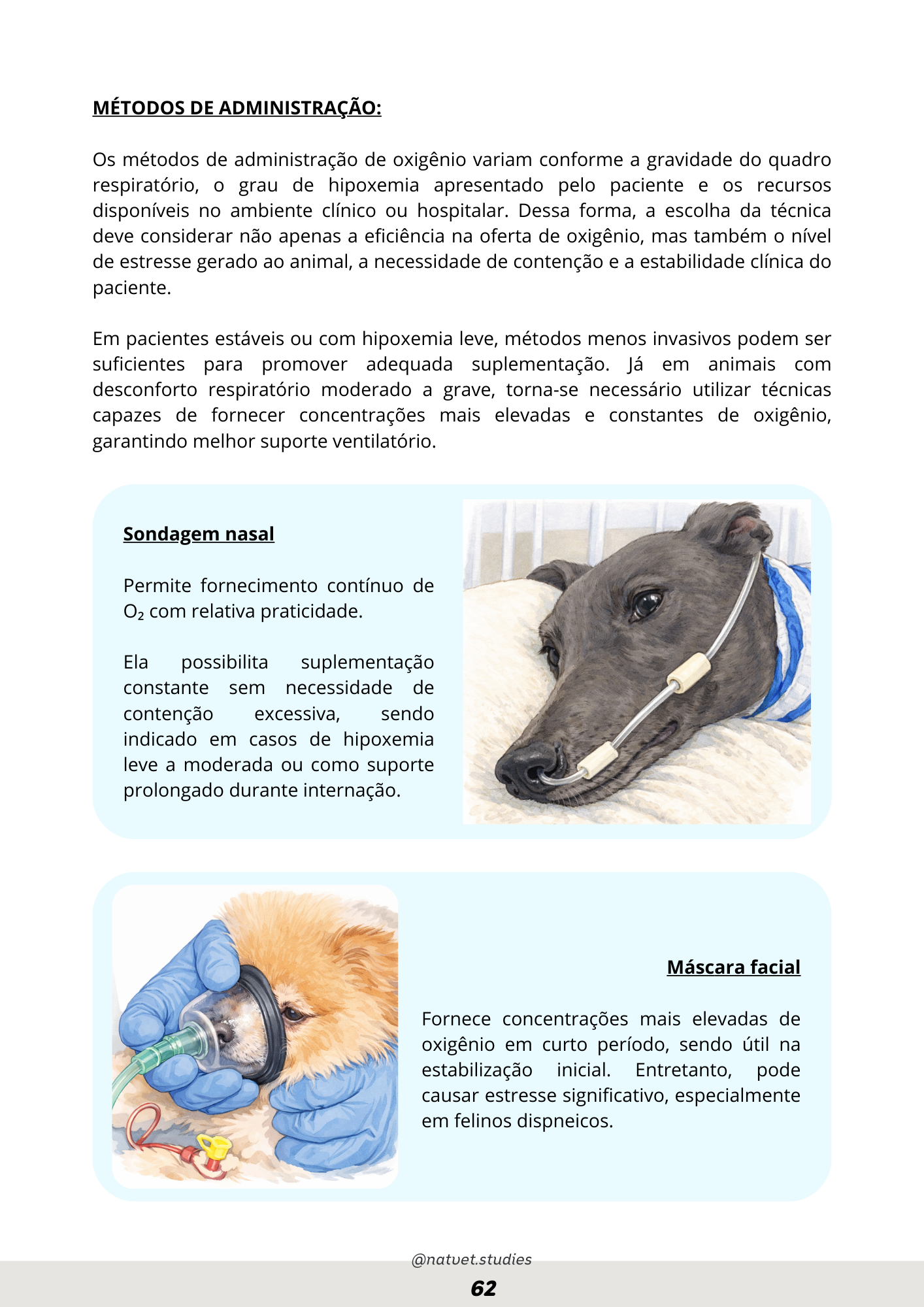 Prévia do material — 62.png