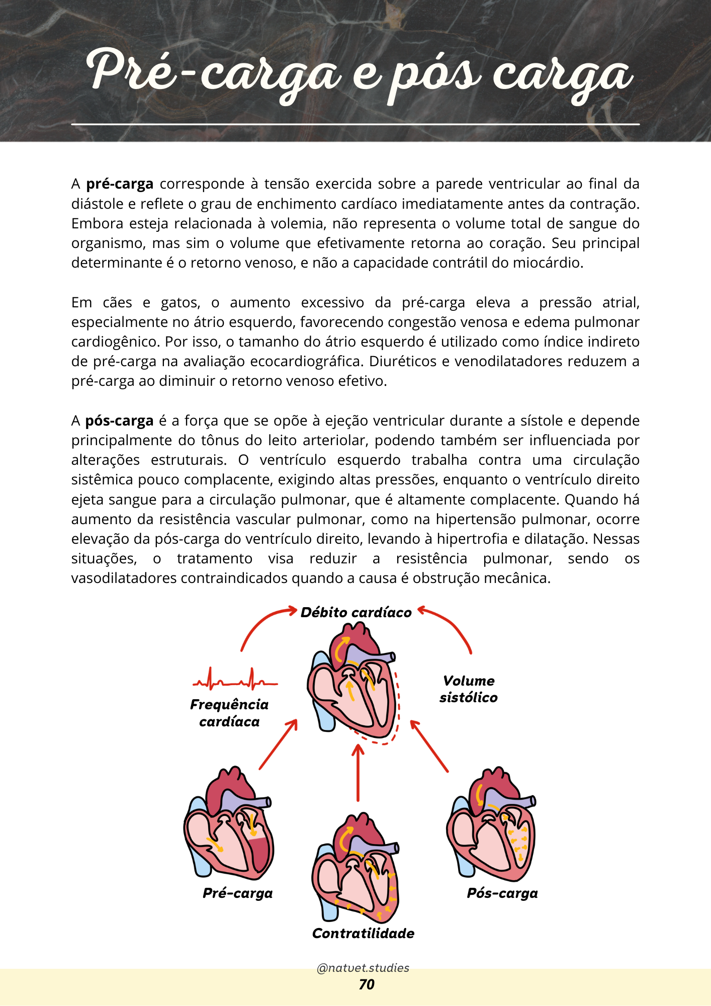 Prévia do material — 70.png