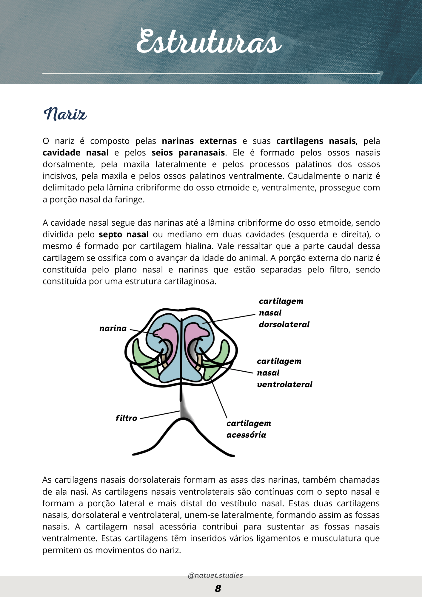 Prévia do material — 8.png