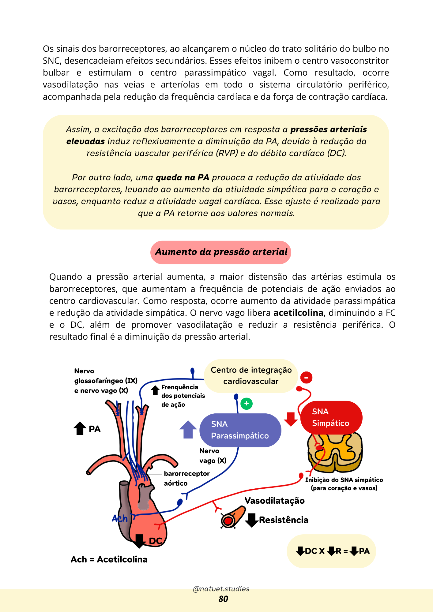 Prévia do material — 80.png