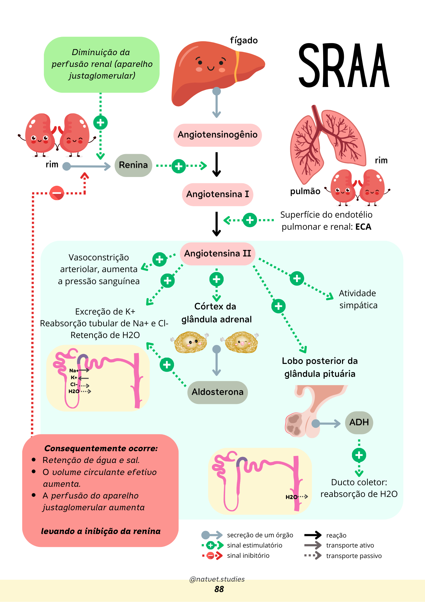 Prévia do material — 88.png