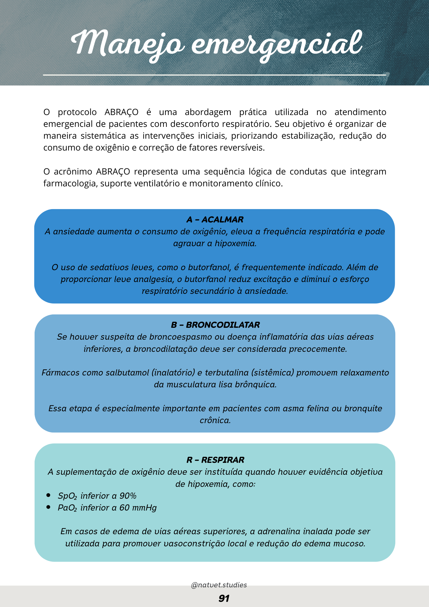 Prévia do material — 91.png