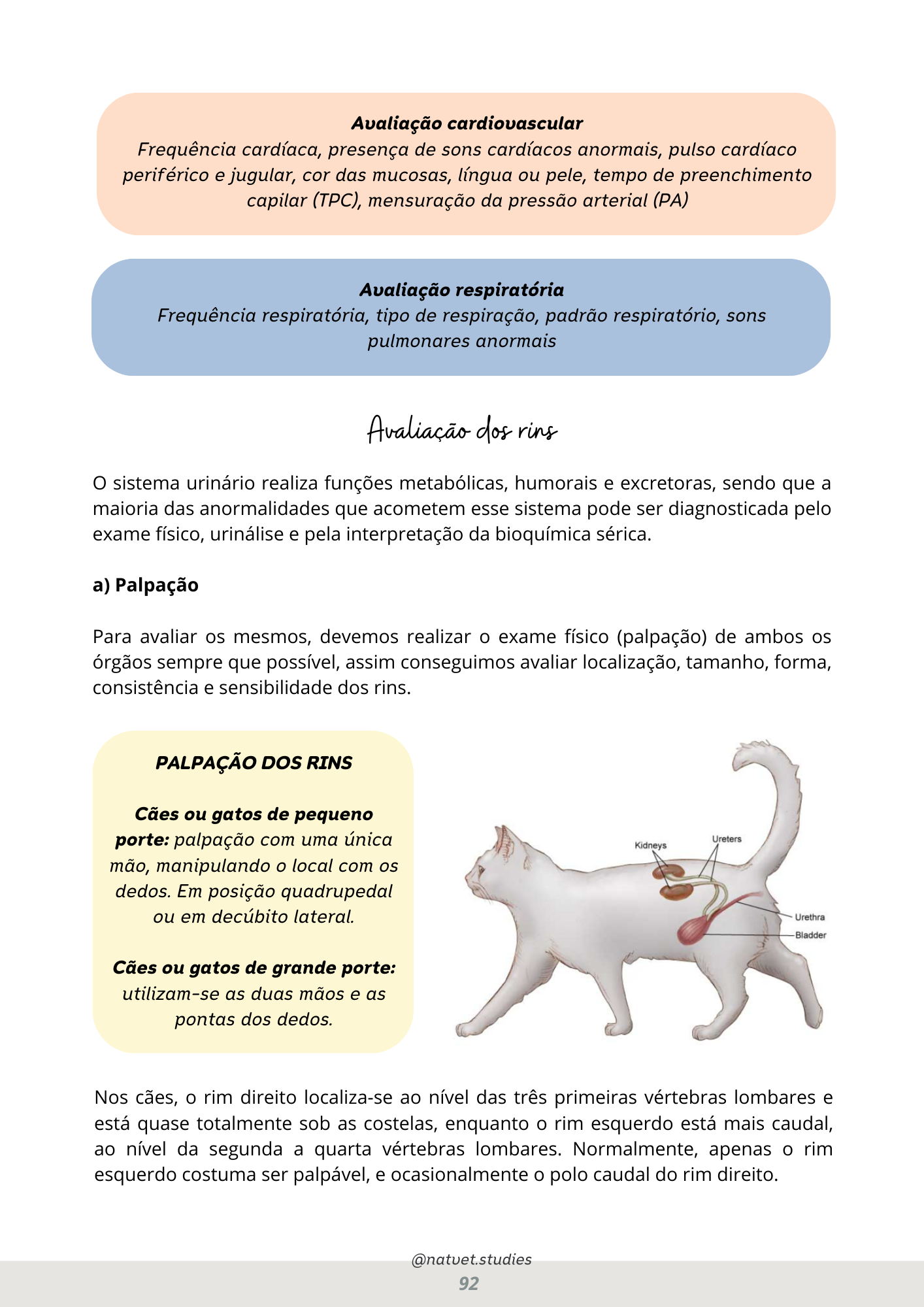 Prévia do material — 92.png