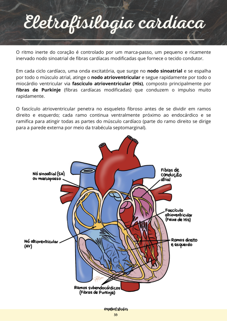 eletrofisiologia