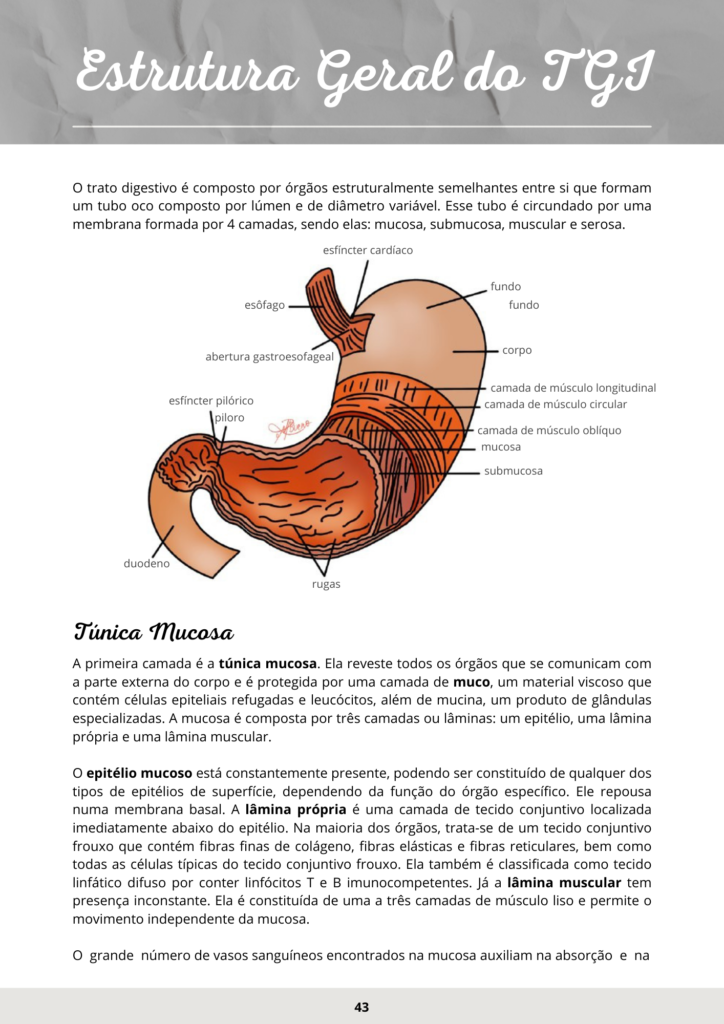 estrutura geral tgi