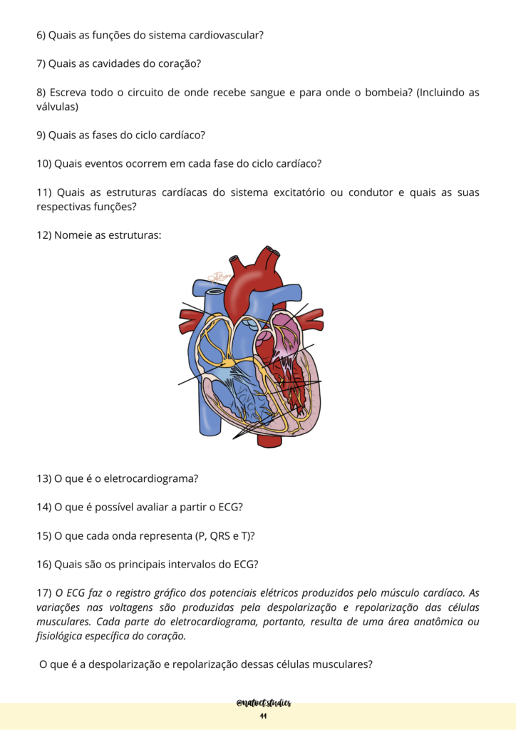 exercicios sist cardio