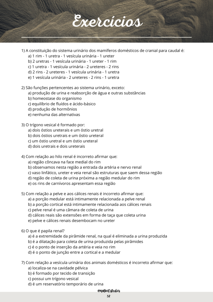 exercicios sist renal