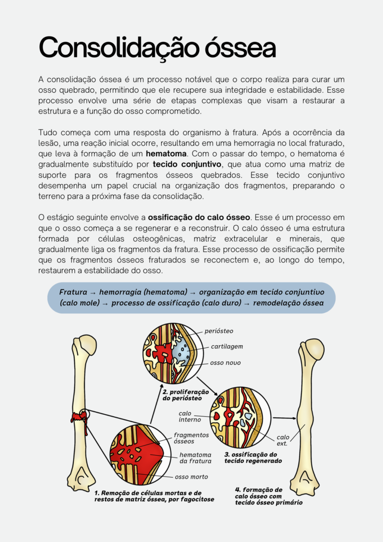 pagina 40 raiox